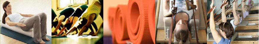 Pilates and Yoga Center of St. Louis Contact information